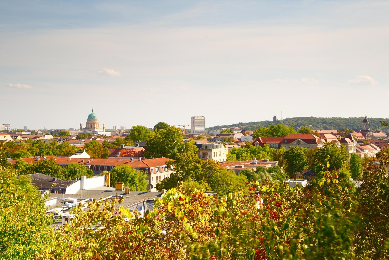 über Potsdam vom Weinberg